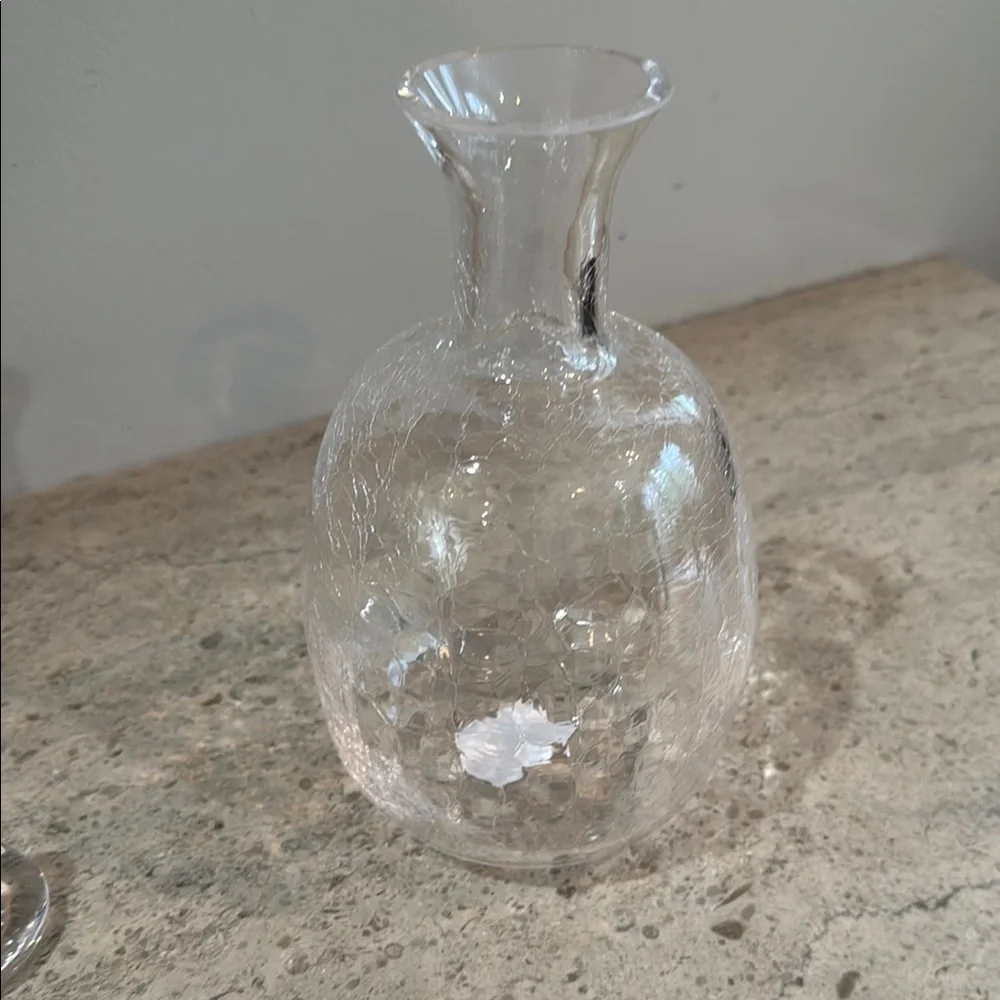 West Elm Elegant Crackle Glass Decanter